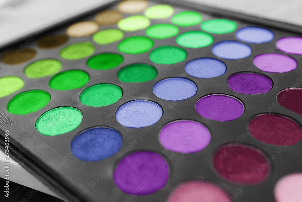Makeup eyeshadow palette. Multicolored palette of shadows. Eyeshadow palette with top colors for makeup. Makeup eyeshadow palette. Multicolored palette of shadows. Eyeshadow palette with top colors for makeup.
