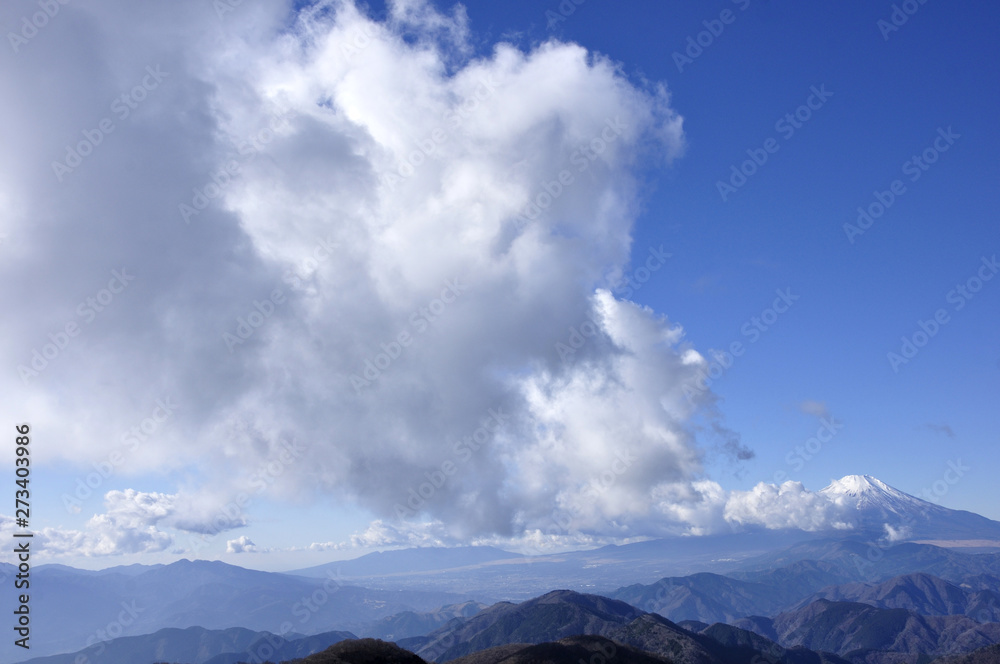 塔ノ岳より雲つづく富士山