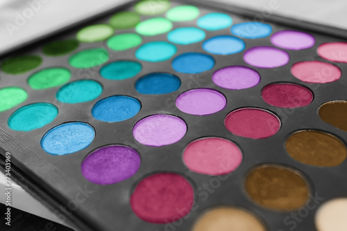 Makeup eyeshadow palette. Multicolored palette of shadows. Eyeshadow palette with top colors for makeup.