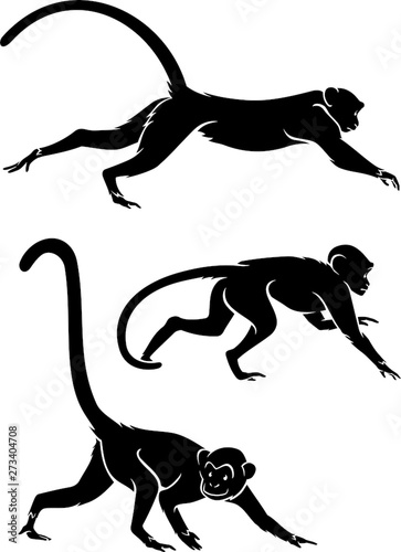 Crawling Monkey Silhouette Set