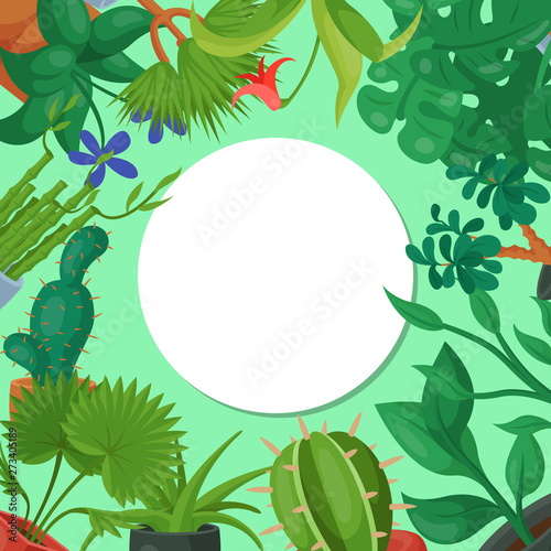 House flowers indoor floriculture round pattern vector illustration. Nature home decoration gardening. Indoor plants in flowerpot beauty decorative flora. Cozy succulent foliage exotic garden