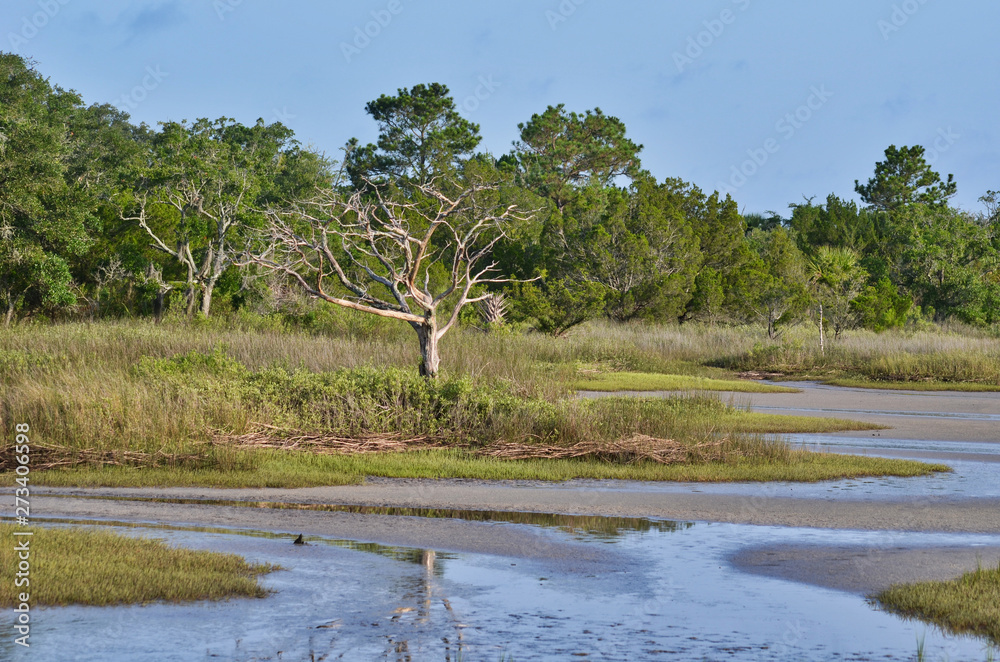 Tidal Wetland Landscape with Tree Reflection in South Carolina