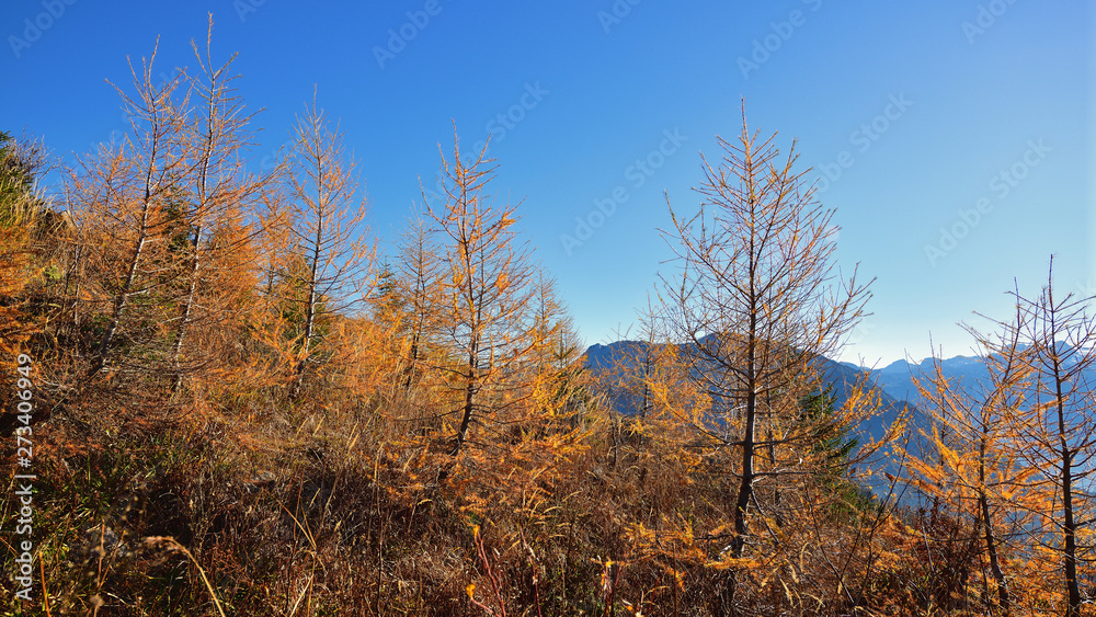 Herbstlandschaft im Salzkammergut