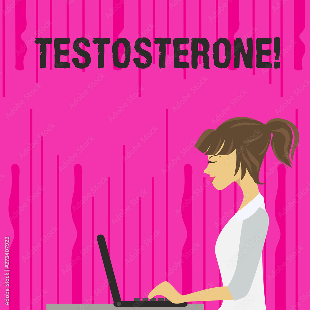 Text sign showing Testosterone. Business photo text Male hormones development and stimulation sports substance photo of Young Busy Woman Sitting Side View and Working on her Laptop Text sign showing Testosterone. Business photo text Male hormones development and stimulation sports substance photo of Young Busy Woman Sitting Side View and Working on her Laptop