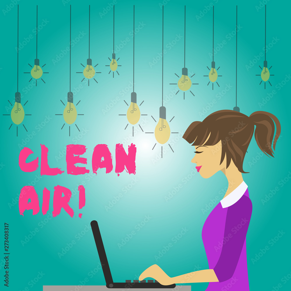 Word writing text Clean Air. Business photo showcasing forbidding in certain areas burning any fuel that produces smoke photo of Young Busy Woman Sitting Side View and Working on her Laptop Word writing text Clean Air. Business photo showcasing forbidding in certain areas burning any fuel that produces smoke photo of Young Busy Woman Sitting Side View and Working on her Laptop