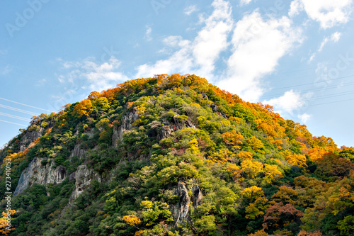 Autumn hiking on a discontinued train-line between Takedao and Namaze in Hyogo prefecture in Japan