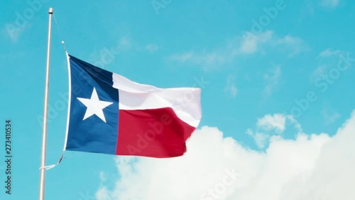 Texas flag fluttering in the wind