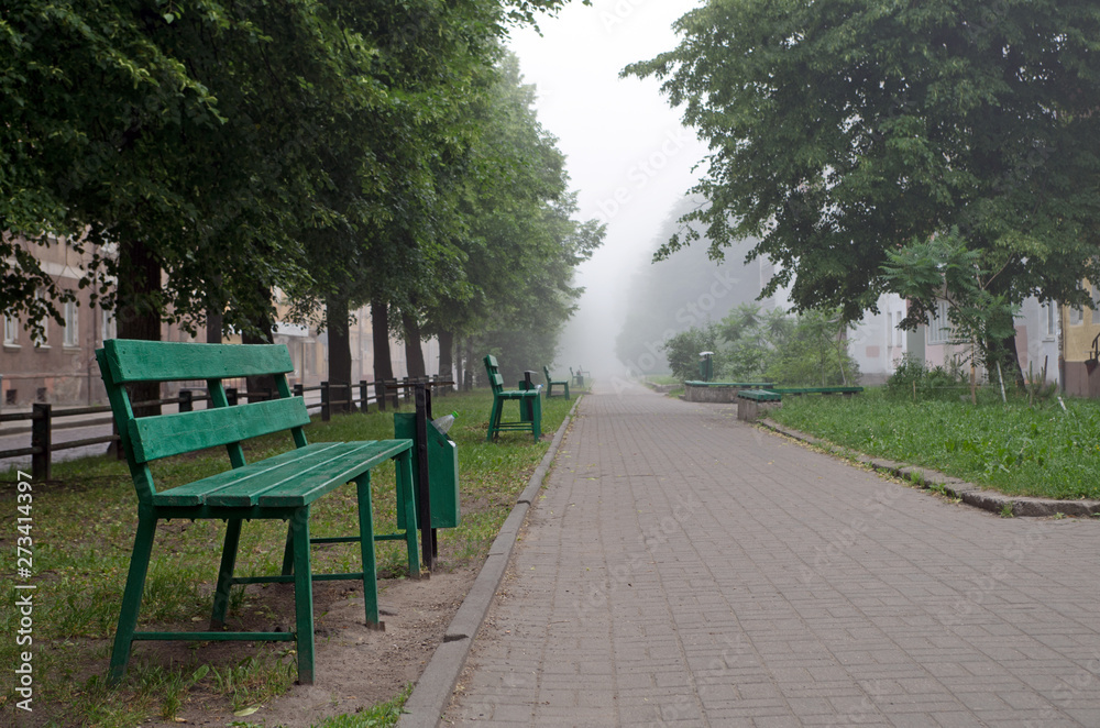 A foggy gray tiled sidewalk with curbs and trash cans surrounded by trees with thick green foliage, wooden benches and grass on lawns in the morning