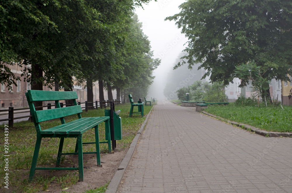 A foggy gray tiled sidewalk with curbs and trash cans surrounded by trees with thick green foliage, wooden benches and grass on lawns in the morning A foggy gray tiled sidewalk with curbs and trash cans surrounded by trees with thick green foliage, wooden benches and grass on lawns in the morning