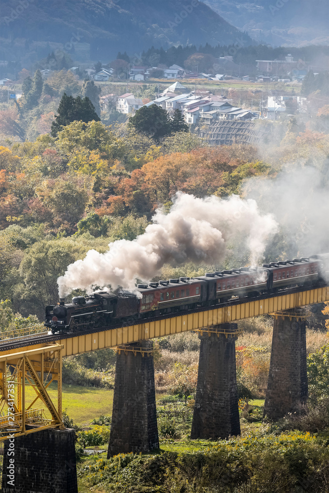 Steam locomotive train Is spraying smoke running through the iron bridge - obrazy, fototapety, plakaty 