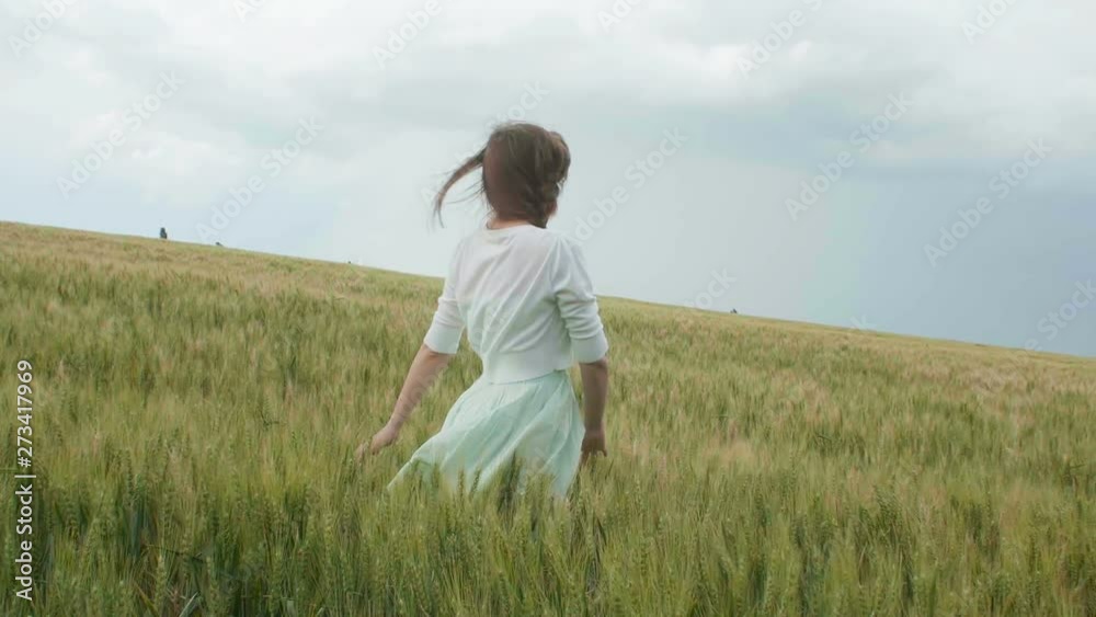 Beautiful young russian girl among the tall green spikelets of wheat in the field. She collects spikelets in bundles. The girl enjoys the summer in the rays of sunlight. Beautiful young russian girl among the tall green spikelets of wheat in the field. She collects spikelets in bundles. The girl enjoys the summer in the rays of sunlight.