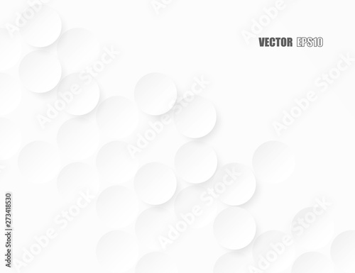 Abstract. Embossed paper circle white background ,light and shadow . Vector.