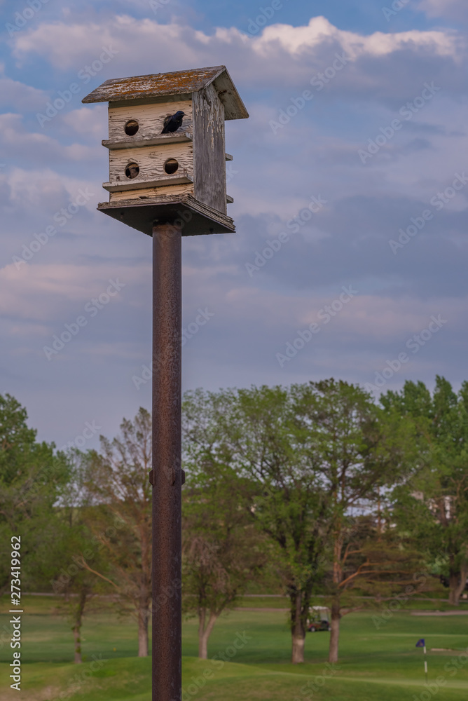 Birds perched on a wooden birdhouse with blue sky and clouds in the background