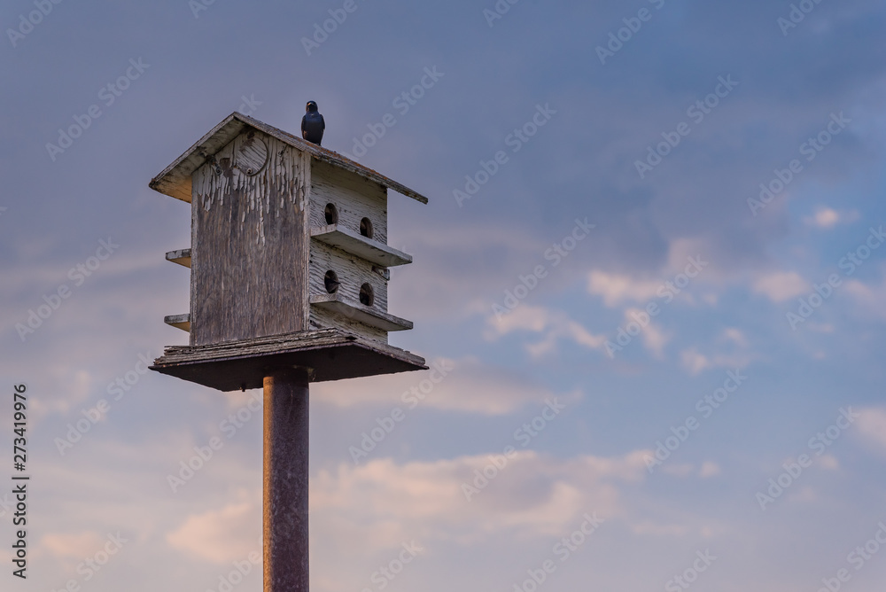 Birds perched on a wooden birdhouse with blue sky and clouds in the background Birds perched on a wooden birdhouse with blue sky and clouds in the background