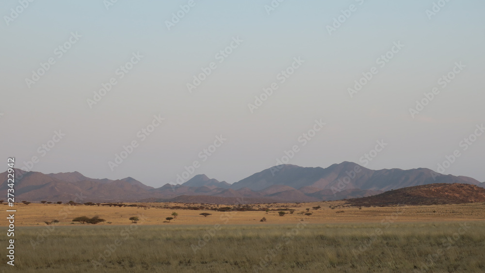 African desert grassy landscape with mountains in the distance. wavy grass.
