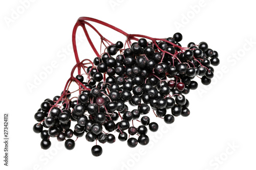 Fresh black elderberry  fruit isolated