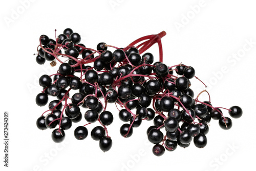 Fresh black elderberry  fruit isolated
