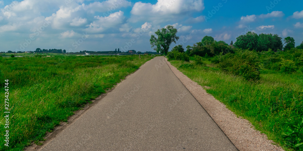 Road in polder landscape