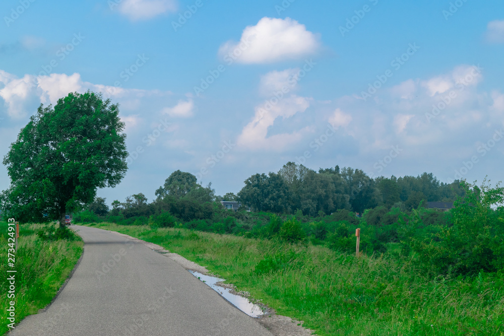 Road in polder landscape Road in polder landscape