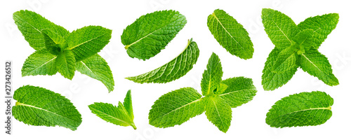 Fresh mint leaves isolated on white background photo