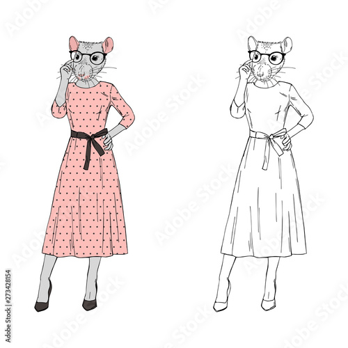 Humanized rat woman hipster dressed up in pink dotty dress and glasses. Hand drawn vector illustration. Furry art image. Anthropomorphic animal.