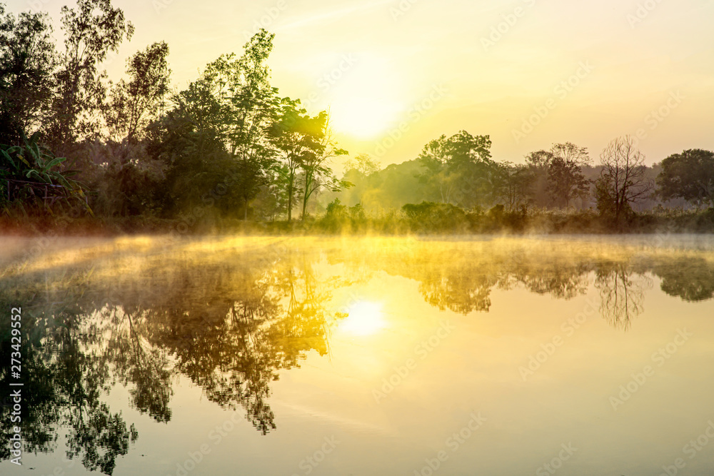 Obraz premium Beautiful landscape view of sunrise reflect on the river, Green tree shadow on water surface with flare light in the morning, Fog on water surface in winter