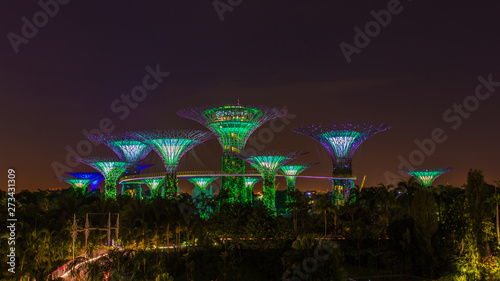 Supertrees illuminated for light show in gardens by the bay in night time, Landmark of singapore