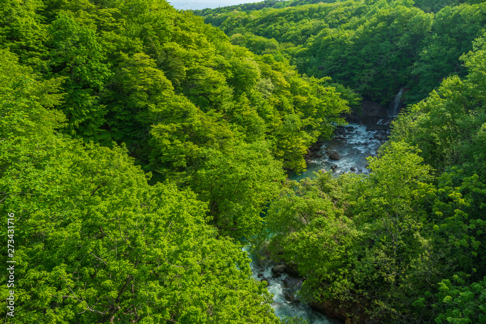 Towada Hachimantai National Park, Hachimantai Towada Hachimantai National Park, Hachimantai