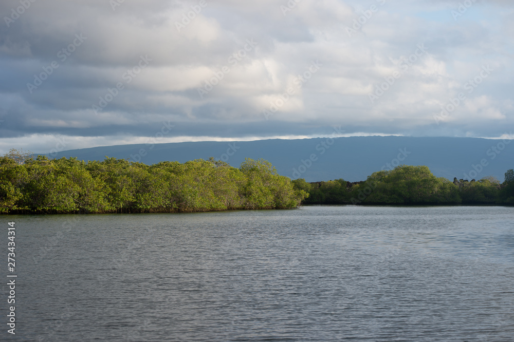 Galapagos Inseln