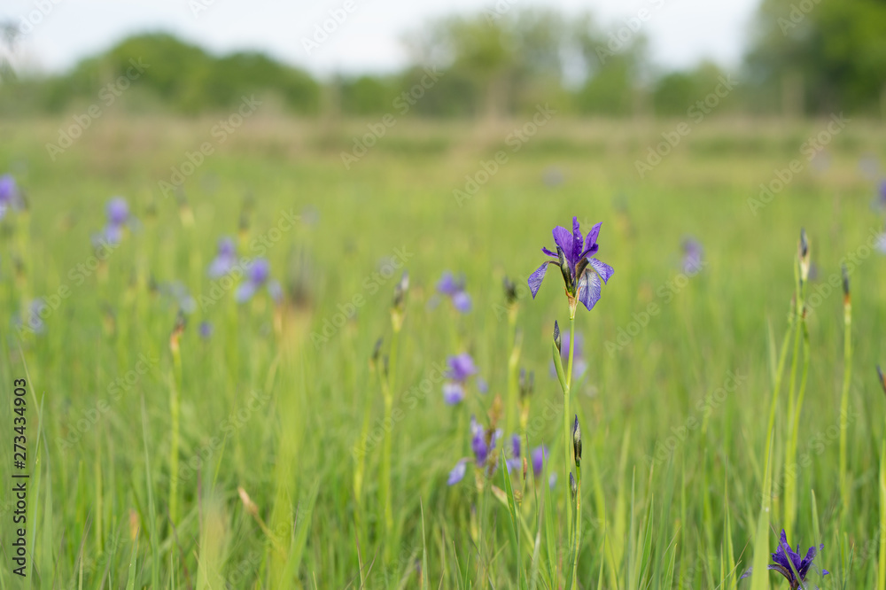 Landschaften und Natur