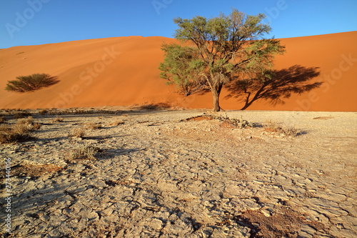 Red sand dune with cracked mud and thorn trees, Sossusvlei, Namib desert, Namibia..