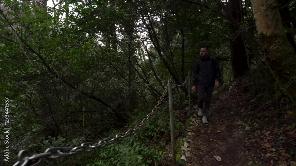 Man walking on a path in green forest of yew-boxwood grove in Sochi, Russia Man walking on a path in green forest of yew-boxwood grove in Sochi, Russia