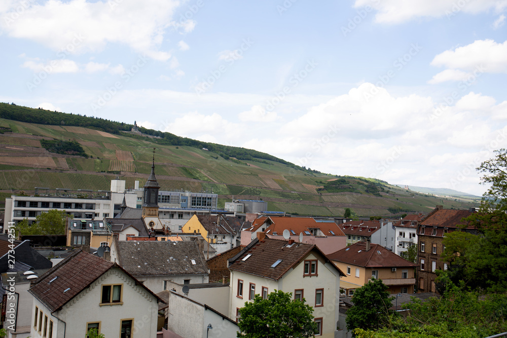 Fototapeta premium nahansicht auf gebäude vor dem hügel in bingen am rhein hessen deutschland fotografiert während einer sightseeing tour an einem sonnigen bewölkten tag