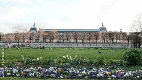 Beautiful park in the city, flowers and green grass Europe Paris France 19 March 2019