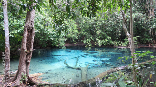 Blue Pool in Krabi, Thailand in the Emerald Lake National Park - Made From A Natural Spring and Clean, Un-touched, Pure Water. © DearTravallure