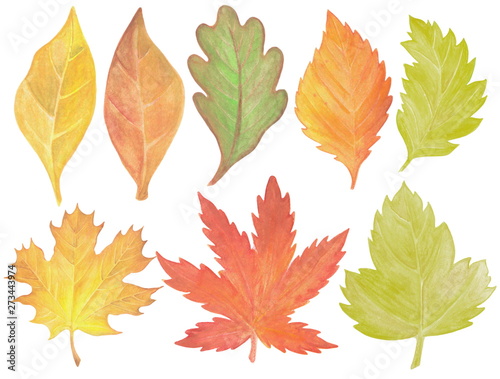 set of autumn leaves, hand-drawn watercolor painting