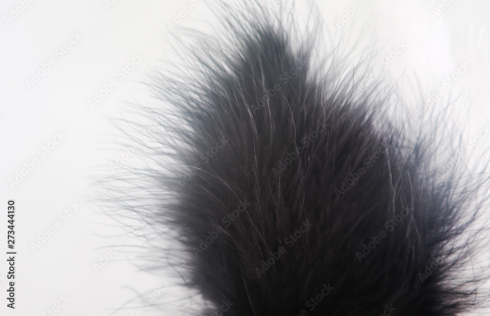 Beautiful abstract texture color red gray blue and black feathers on white isolated background and pattern wallpaper Beautiful abstract texture color red gray blue and black feathers on white isolated background and pattern wallpaper