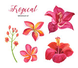 Hand drawing tropical flowers. Watercolor set. For fabric, cards, invitations, weddings and other