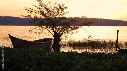 Wooden fishing boat lies next to tree by the shore as sun sets over Lake Victoria. Beautiful view of water and distant island from coast of Kalangala, Uganda. photo