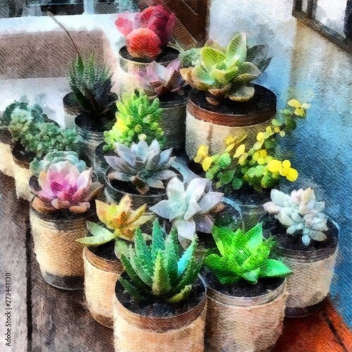 Various types of zebra plant and  succulent plants clay pots on wooden table watercolor painting wallpaper background