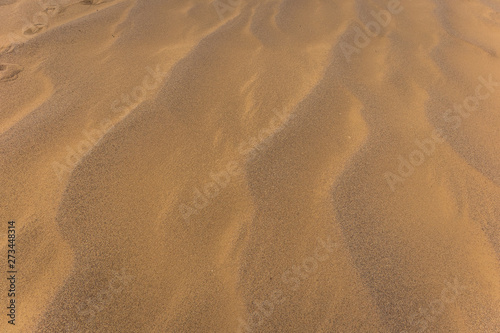 sand dunes in the desert