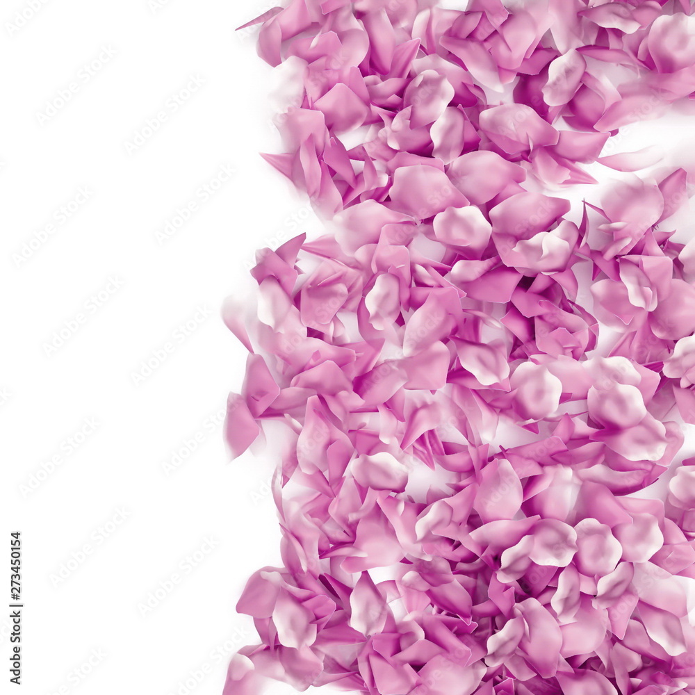 Rose petals border on a white background, 3d rendering. Tender romantic love card design elements. Realistic 3d rose petals frame edge for ads or natural cosmetic products. Valentines Day background.