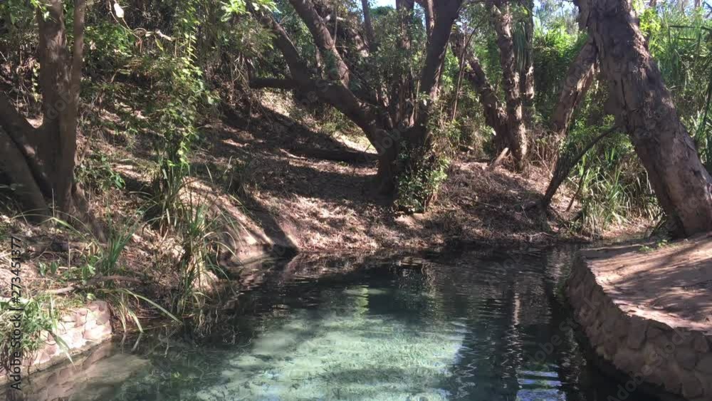 Katherine Hot Springs in Katherine the Northern Territory, Australia.