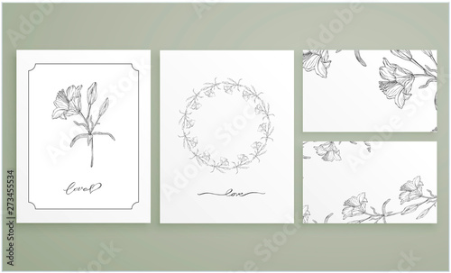 Vector floral color compositions with Lily flowers.