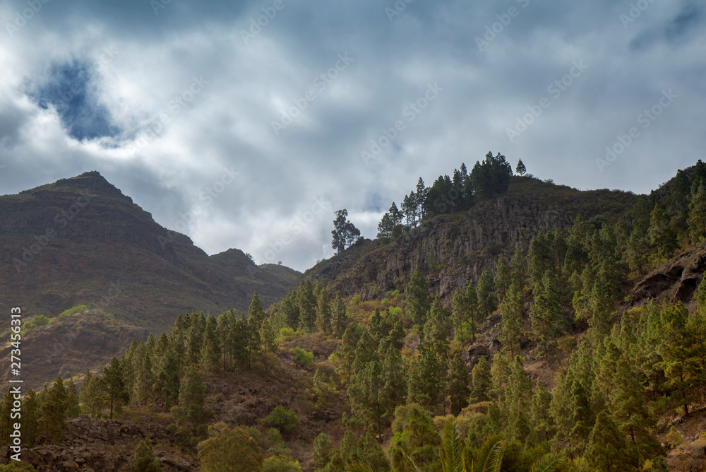 Gran Canaria, Agaete valley