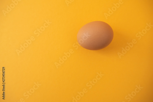 brown raw egg on yellow background