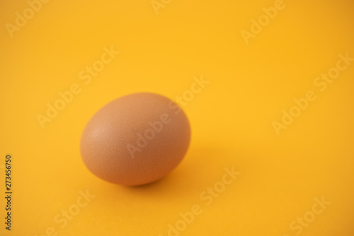 brown raw egg on yellow background