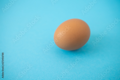 brown raw egg on blue background