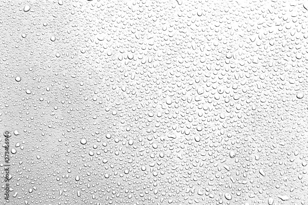 Obraz premium Water droplets on a gray background