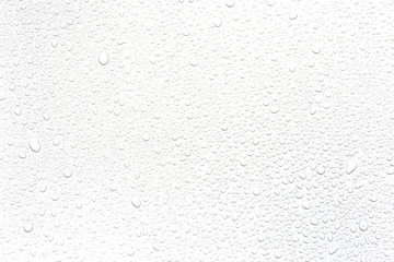 Water rain drops isolated on white background.